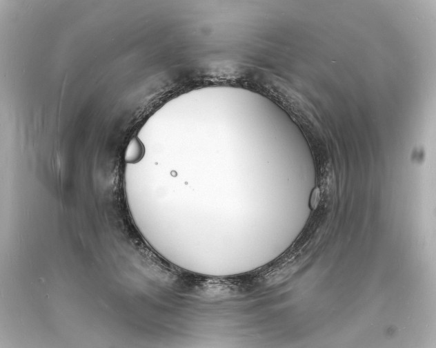 X0000093600608200710291146