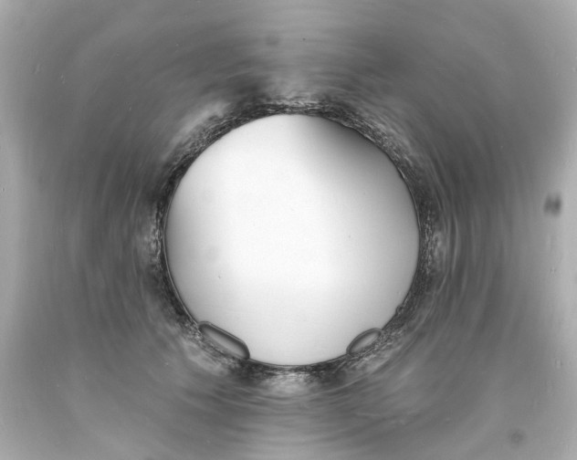 X0000093600609200710291146