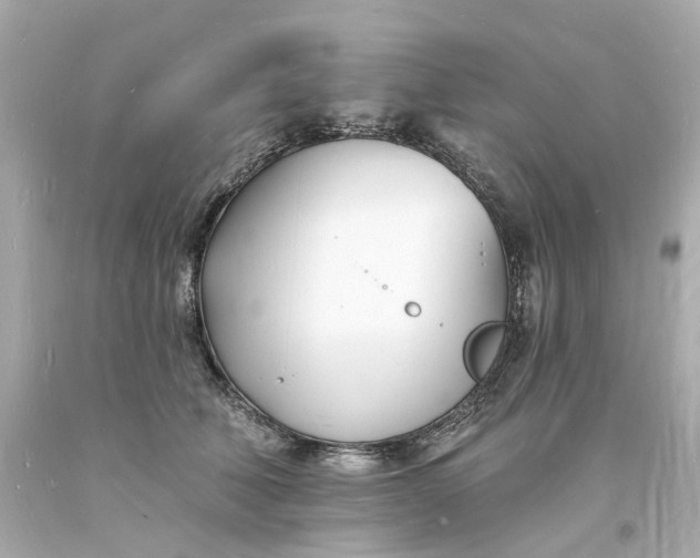 X0000093600610200710291146