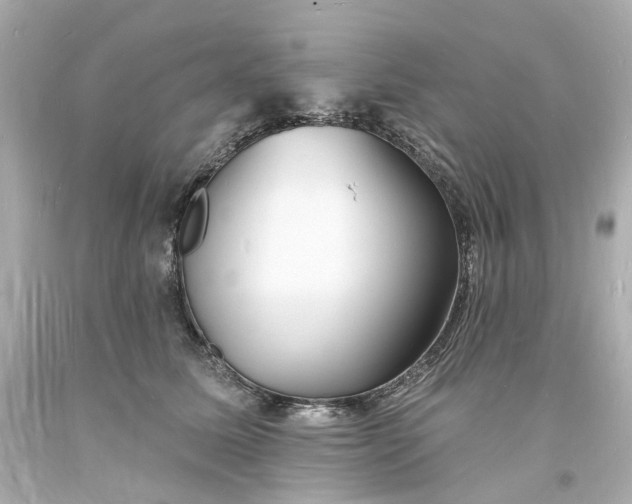 X0000093600611200710291146