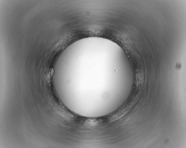 X0000093600613200710291146