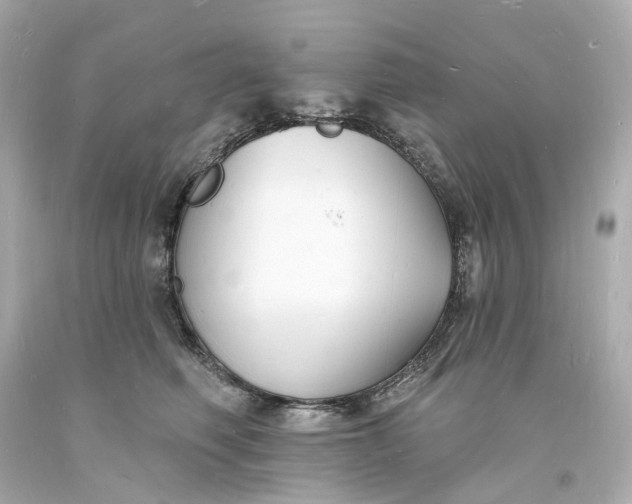 X0000093600614200710291146