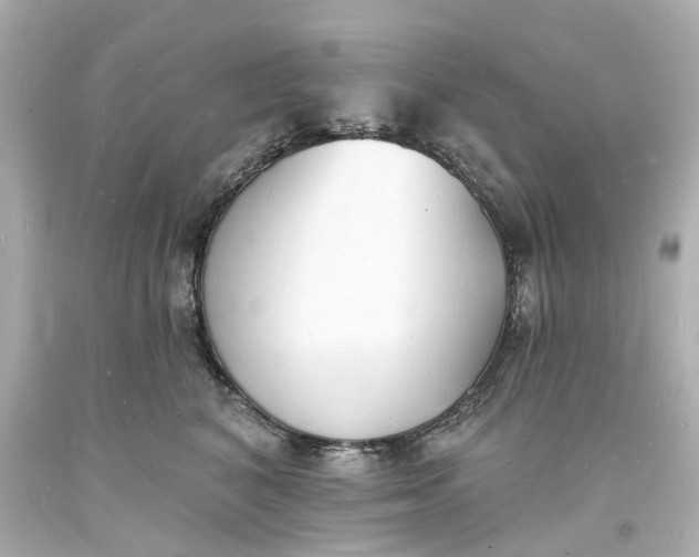 X0000093600616200710291146