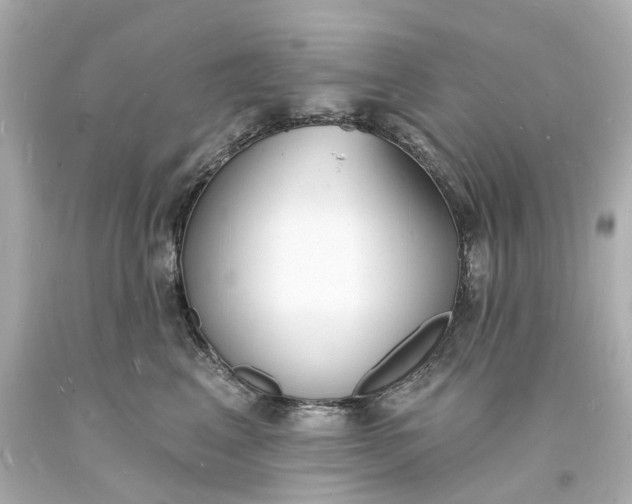 X0000093600617200710291146