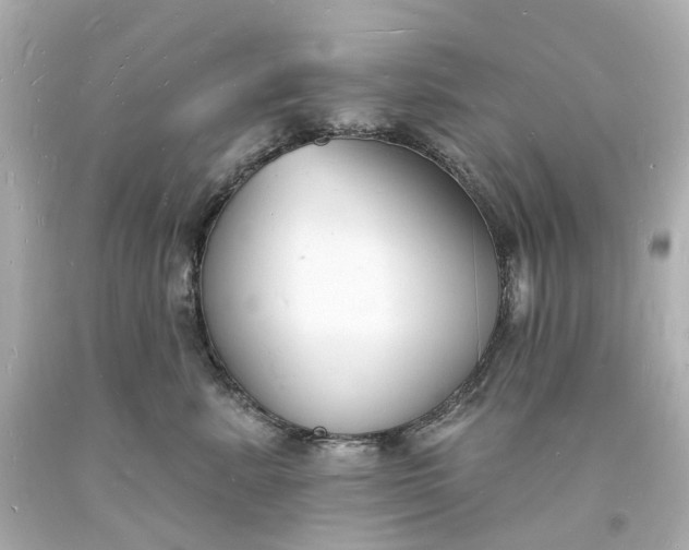 X0000093600619200710291145