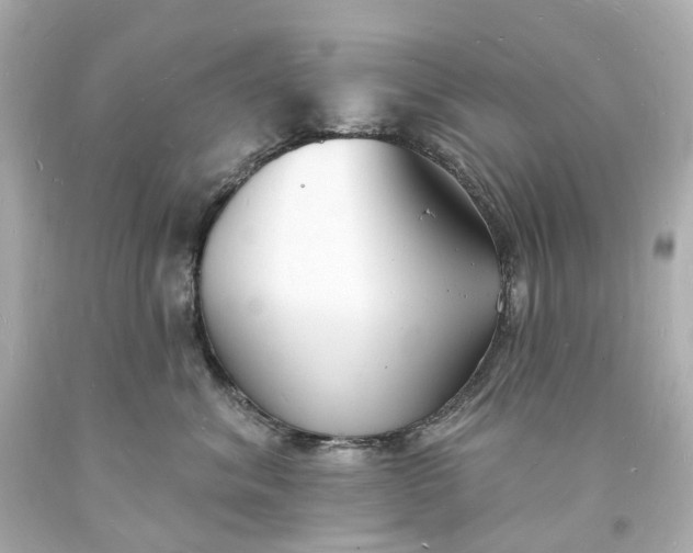 X0000093600620200710291145