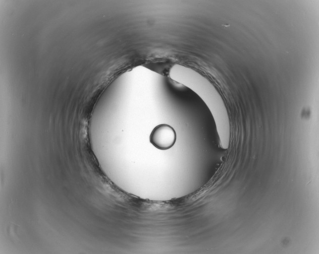 X0000093600621200710291145