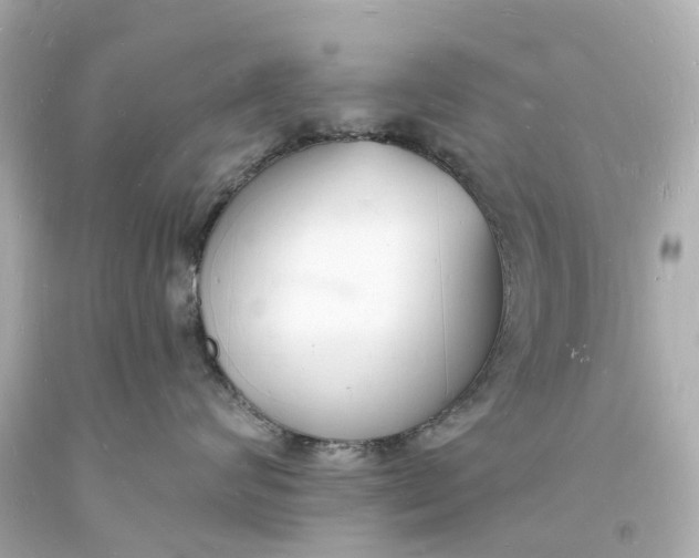 X0000093600624200710291145