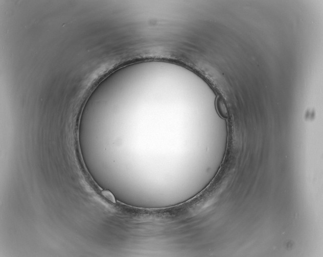 X0000093600625200710291145