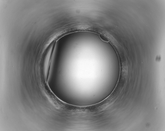 X0000093600626200710291145