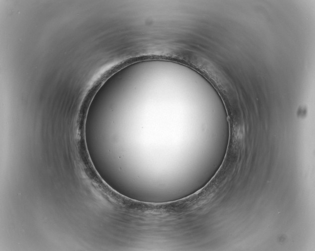 X0000093600628200710291145