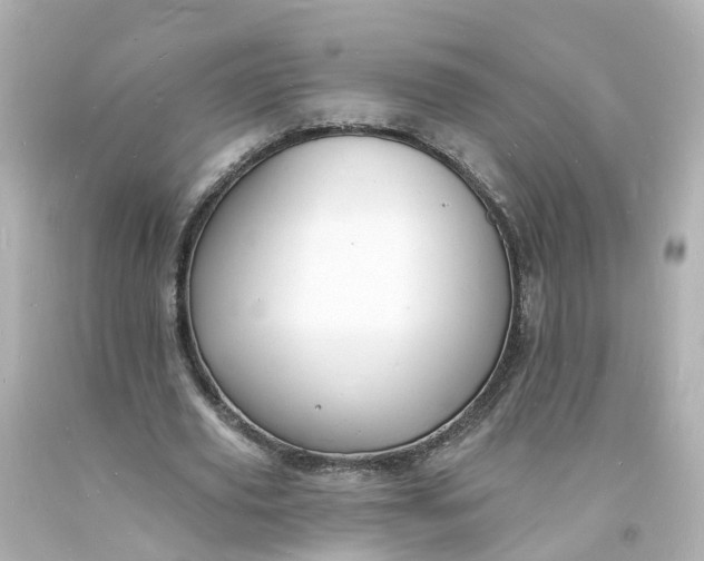 X0000093600629200710291145