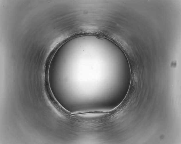 X0000093600630200710291145