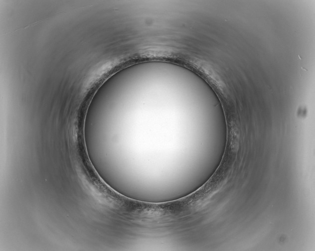 X0000093600631200710291145