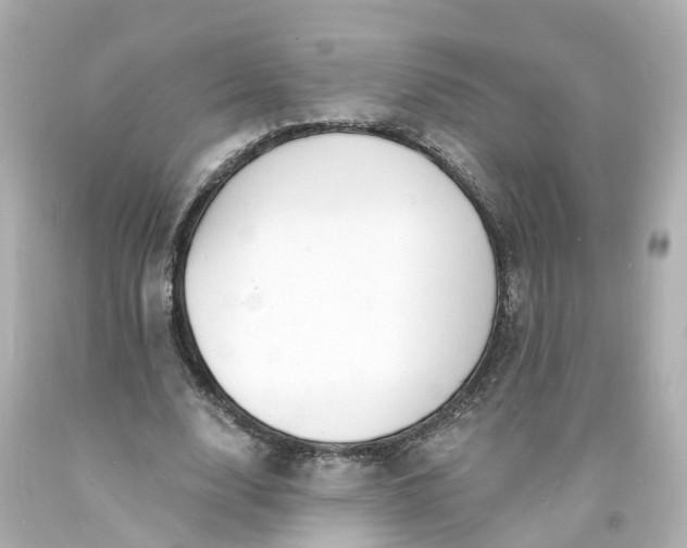 X0000093600632200710291145