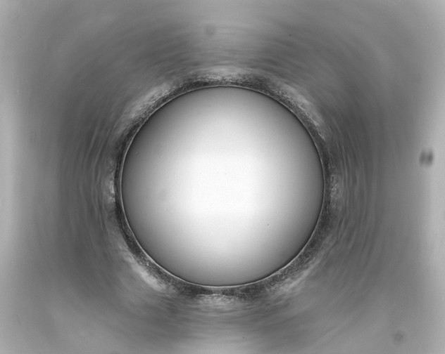 X0000093600633200710291145