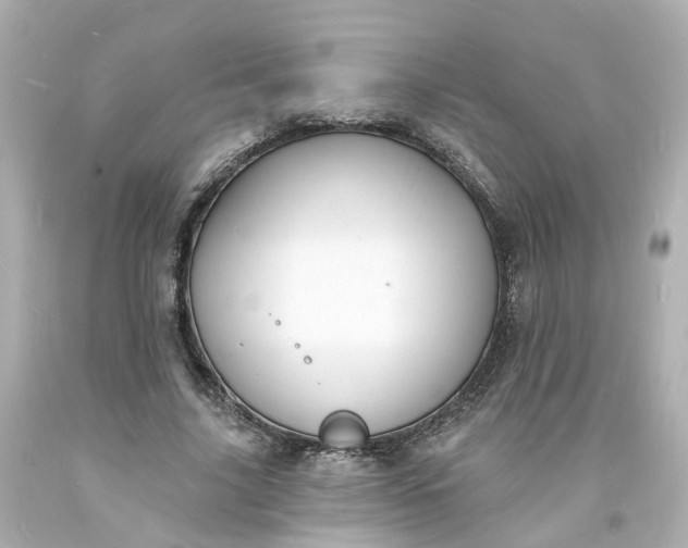 X0000093600635200710291145