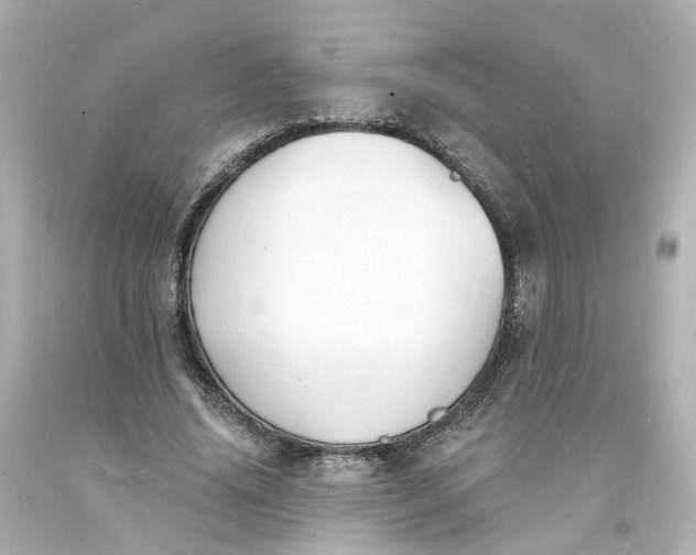 X0000093600636200710291145