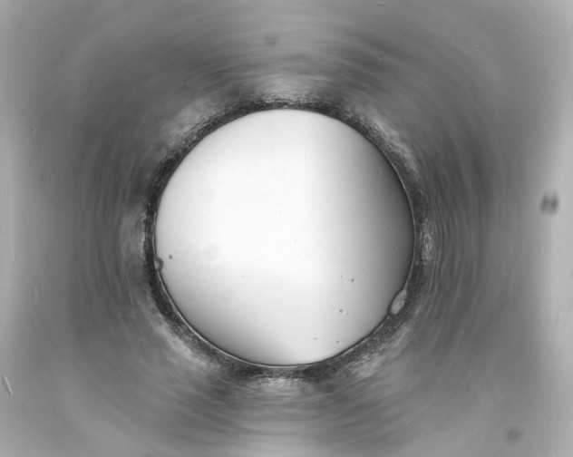 X0000093600637200710291145