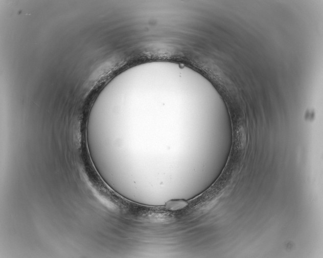 X0000093600638200710291145