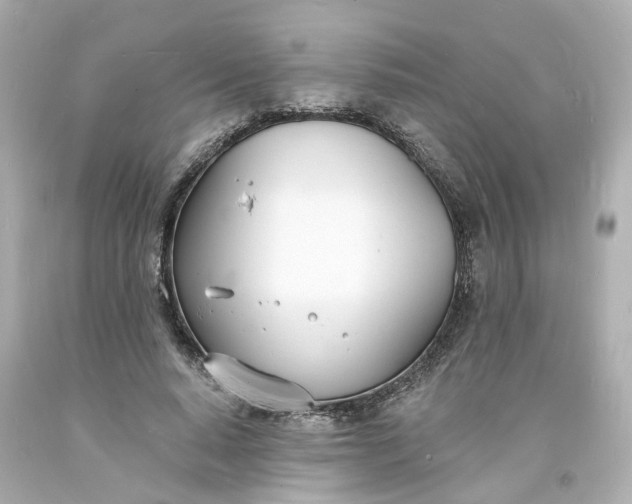 X0000093600640200710291145