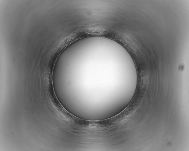 X0000093600641200710291145