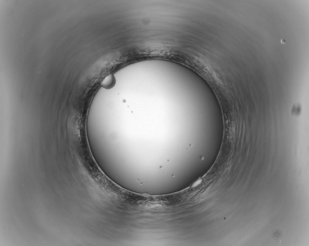 X0000093600643200710291145