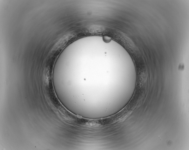 X0000093600644200710291145