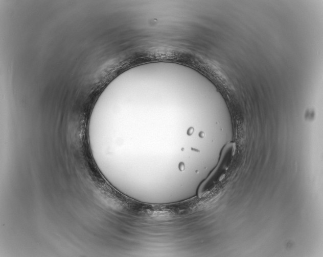 X0000093600645200710291145