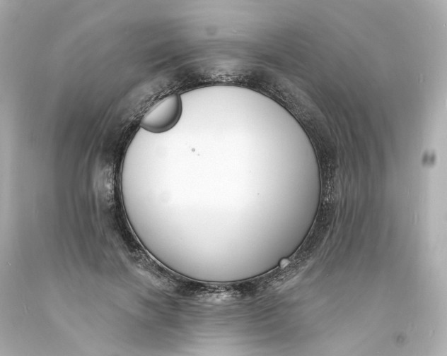 X0000093600646200710291145