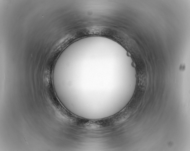 X0000093600648200710291145