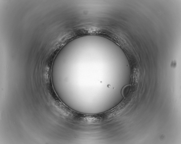 X0000093600650200710291145