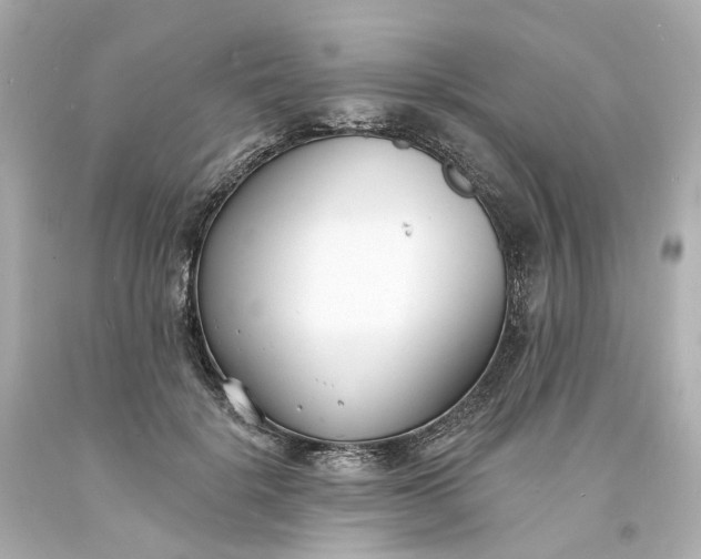 X0000093600652200710291145