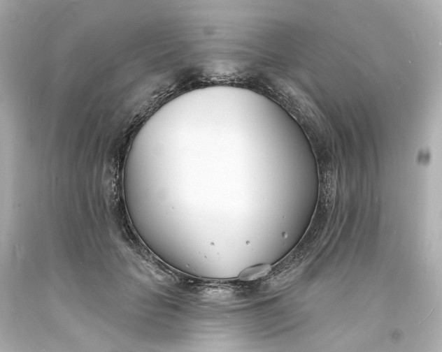 X0000093600653200710291145