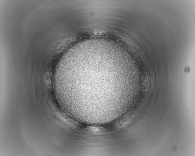 X0000093600654200710291145