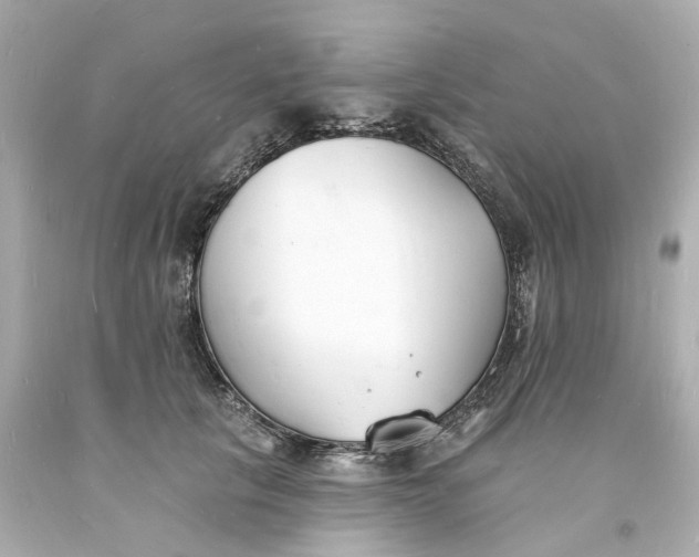 X0000093600657200710291145