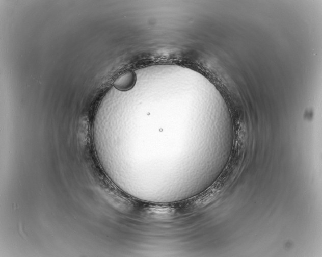 X0000093600659200710291145