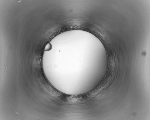 X0000093600661200710291145