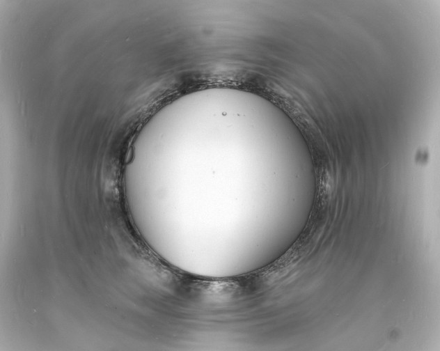 X0000093600663200710291145