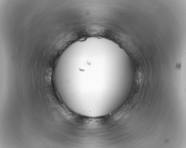 X0000093600664200710291145