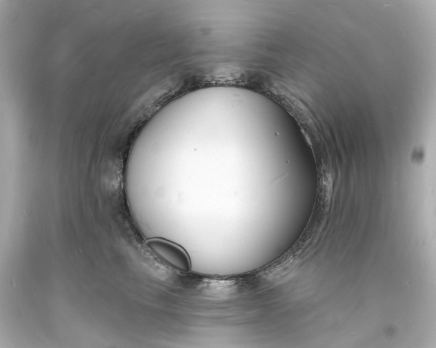 X0000093600665200710291145