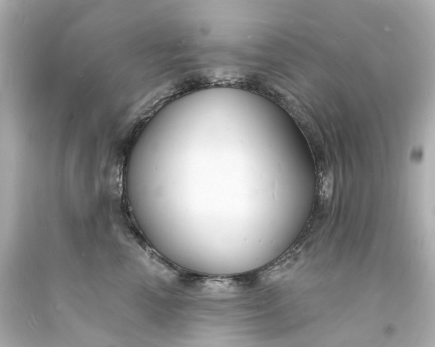 X0000093600666200710291145