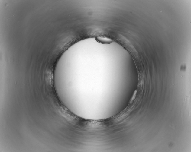 X0000093600669200710291145