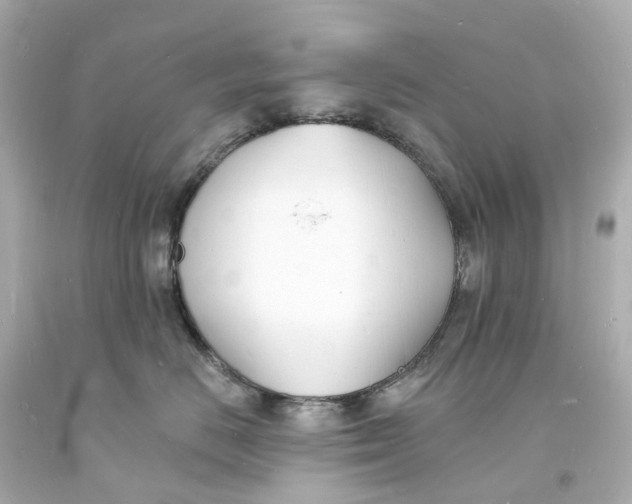 X0000093600670200710291145