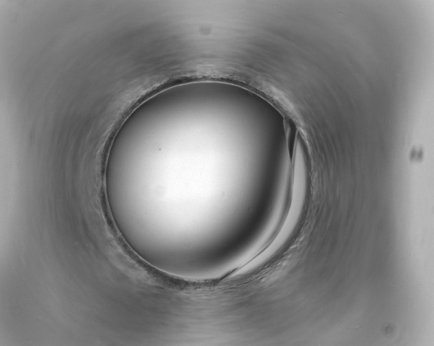 X0000093600673200710291145