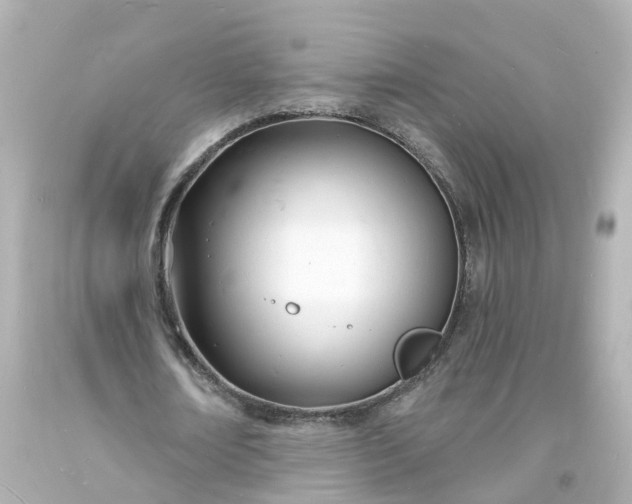 X0000093600674200710291145