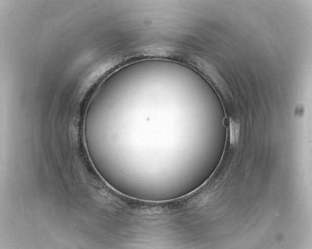 X0000093600675200710291145