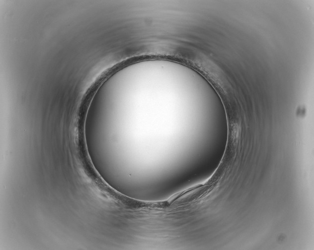 X0000093600676200710291145