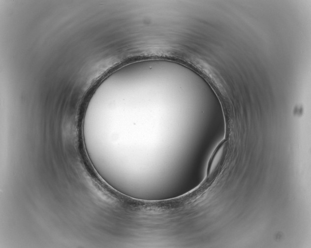 X0000093600677200710291145