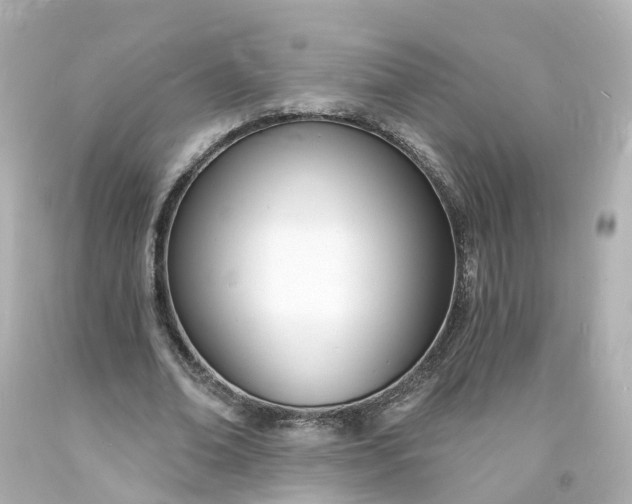 X0000093600678200710291145